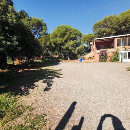 Relais Pollo Loco Bed and Breakfast Gilet Εξωτερικό φωτογραφία